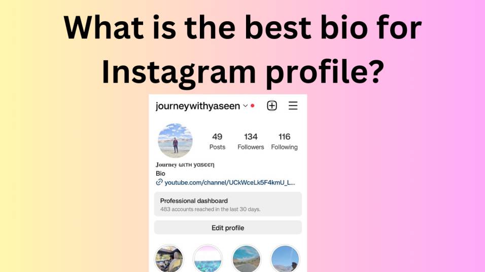 Instagram Bio Ideas for Advocate      